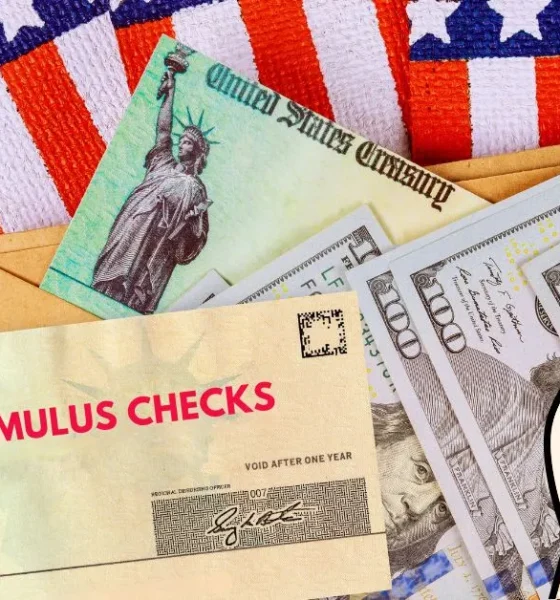 DOGE Stimulus Check