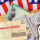 DOGE Stimulus Check